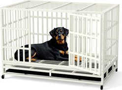 Xbrigh Heavy Duty Indestructible Escape Proof Steel Dog Crate, White, Large: 48-in