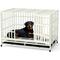 Show in main carousel: Xbrigh Heavy Duty Indestructible Escape Proof Steel Dog Crate, White, Large: 48-in slide 1 of 8