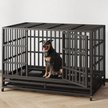 Show in main carousel: Xbrigh Heavy Duty Indestructible Escape Proof Steel Dog Crate, Black, Small: 38-in slide 2 of 6