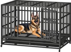 Xbrigh Heavy Duty Indestructible Escape Proof Steel Dog Crate, Black, Small: 38-in