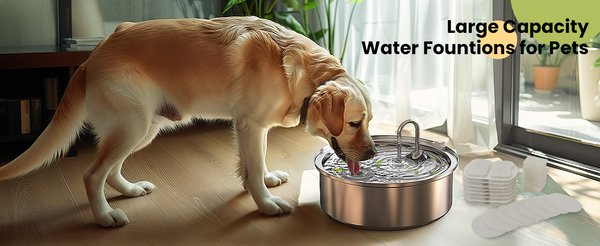 Show full view: OneIsAll Stainless Steel Dog & Cat Water Fountain Replacement Filters, 8 count, Large: 7-L slide 9 of 9