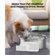 Show in main carousel: OneIsAll Stainless Steel Dog & Cat Water Fountain Replacement Filters, 8 count, Large: 7-L slide 6 of 9