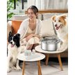 Show in main carousel: OneIsAll Stainless Steel Dog & Cat Water Fountain Replacement Filters, 8 count, Large: 7-L slide 7 of 9