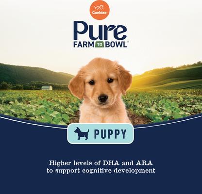 Show full view: CANIDAE PURE with Wholesome Grains Limited Ingredient Real Salmon & Oatmeal Recipe Puppy Dry Dog Food, 22-lb bag slide 6 of 10