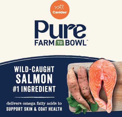 Show full view: CANIDAE Pure Grain-Free Puppy Real Salmon & Sweet Potato Dry Dog Food, 22-lb bag slide 4 of 9