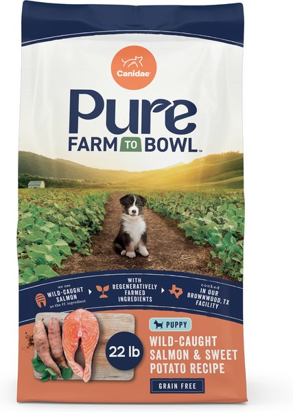 Dry Dog Salmon And Potato Grain Free Dog Food CANIDAE Pure Grain