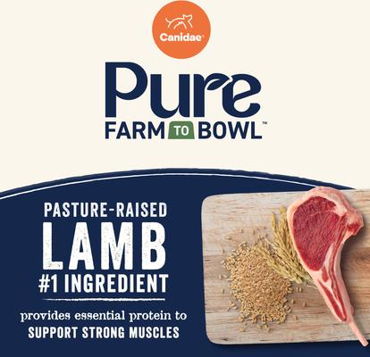 Show full view: CANIDAE Pure Real Lamb & Brown Rice Recipe Dry Dog Food, 22-lb bag slide 4 of 10