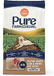 CANIDAE Pure Real Lamb & Brown Rice Recipe Dry Dog Food, 4-lb bag