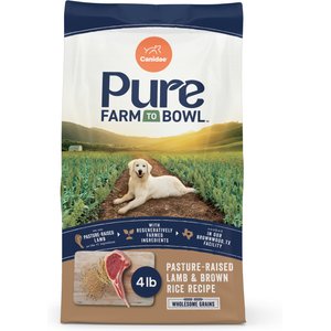 CANIDAE Pure Real Lamb & Brown Rice Recipe Dry Dog Food, 4-lb bag