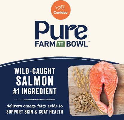 Show full view: CANIDAE PURE with Wholesome Grains Limited Ingredient Real Salmon & Oatmeal Recipe Puppy Dry Dog Food, 22-lb bag slide 4 of 10