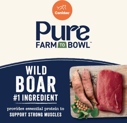 Show full view: CANIDAE Grain-Free PURE Limited Ingredient Wild Boar & Garbanzo Bean Recipe Dry Dog Food, 22-lb bag slide 4 of 10