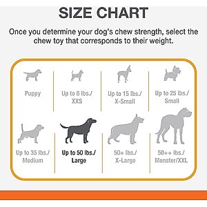 Nylabone Power Chew Easy-Hold Dog Dental Chew Toy Easy Hold Bacon, Large