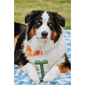 Nylabone Power Chew Easy-Hold Dog Dental Chew Toy Easy Hold Bacon, Large