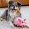 Show in main carousel: Outward Hound Fattiez Pig Squeaky Plush Dog Toy slide 5 of 9