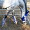 Show in main carousel: Majyk Equipe Horse Fly Boots, Blue/Silver, Cob, 4 count slide 2 of 5