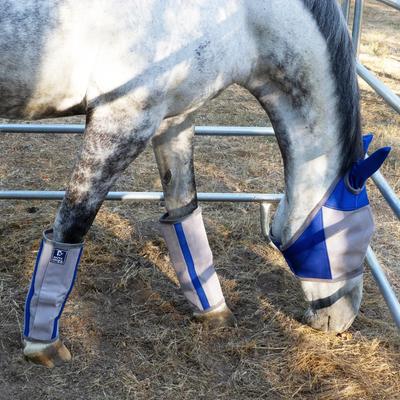 Show full view: Majyk Equipe Horse Fly Boots, Blue/Silver, Cob, 4 count slide 2 of 5