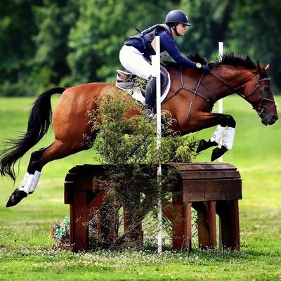Show full view: Majyk Equipe Boyd Martin Black Eventing Kit Horse Boots, White, Medium, 4 count slide 2 of 3