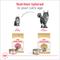 Show in main carousel: Royal Canin Maine Coon Adult Thin Slices in Gravy Wet Cat Food, 3-oz can, case of 24 slide 5 of 13