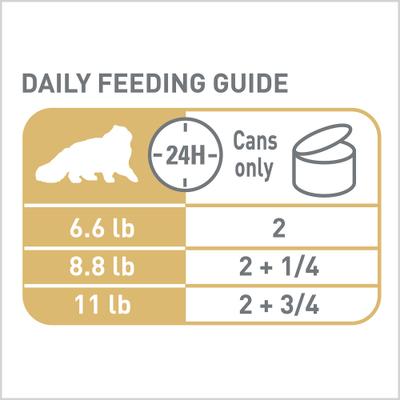 Show full view: Royal Canin Feline Breed Nutrition Persian Loaf Pate Adult Wet Cat Food, 3-oz can, case of 6 slide 9 of 13