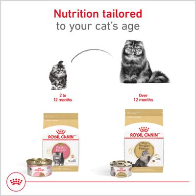 Show full view: Royal Canin Feline Breed Nutrition Persian Loaf Pate Adult Wet Cat Food, 3-oz can, case of 6 slide 6 of 13