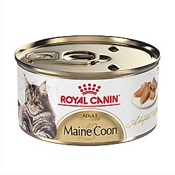 Royal Canin Maine Coon Adult Thin Slices in Gravy Wet Cat Food, 3-oz can, case of 24