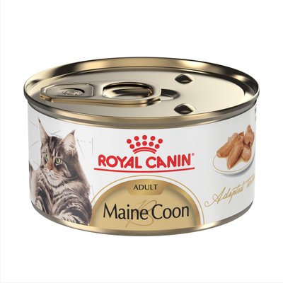 Royal Canin Royal Canin Maine Coon Adult Thin Slices in Gravy Wet Cat Food, 3-oz can, case of 24