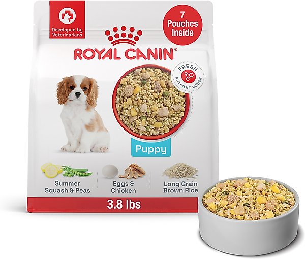 dog food month old puppy throwing up