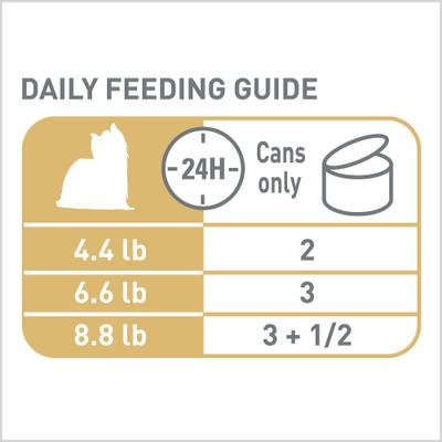 Show full view: Royal Canin Breed Health Nutrition Yorkshire Terrier Adult Loaf In Sauce Wet Dog Food, 3-oz can, case of 6 slide 9 of 13