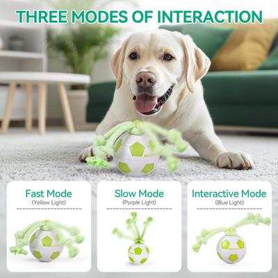 Show full view: allforpaws Interactive Dog Spinning Soccer Ball Toy, Green, 3.5 x 3.5 x 9.8-in slide 3 of 8