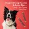Show in main carousel: DreamBone High Protein Rolls Water Buffalo, Chicken & Peanut Butter Flavor Rawhide Free Dog Chews, 10 count slide 8 of 11