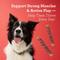 Show in main carousel: DreamBone High Protein Rolls Water Buffalo, Chicken & Peanut Butter Flavor Rawhide Free Dog Chews, 4 count slide 8 of 11