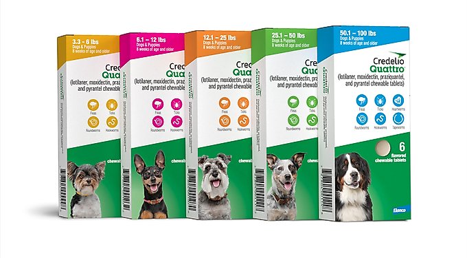Credelio Quattro Chewable Tablets for Dogs, 50.1-100 lbs