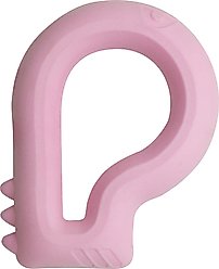Snugarooz Floating Dino Dog Chew Toy
