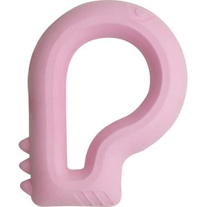 Snugarooz Floating Dino Dog Chew Toy