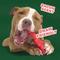 Show in main carousel: BARK Christmas The Gnawtcracker Tough Dog Chew Toy, Multi-color, Bacon-Flavored slide 2 of 7