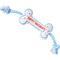 Show in main carousel: PAWTY TOYS Birthday Bone Tug Rope Squeaky Plush Dog Toy, White/Blue slide 5 of 5