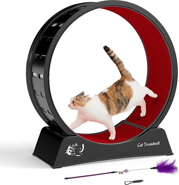 SYKJ Cat Treadmill 直径110cm Amazon.com : Star Cat Wheel, Cat Treadmill, Exercise Wheel