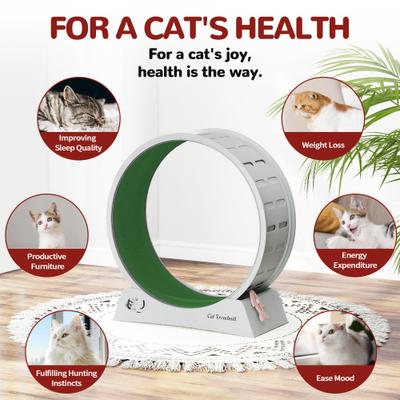 Show full view: Coziwow 29-in Exercise Running Wheel Cat Treadmill, Gray/Green slide 7 of 10