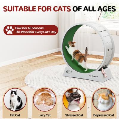 Show full view: Coziwow 29-in Exercise Running Wheel Cat Treadmill, Gray/Green slide 3 of 10