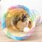 Show in main carousel: Happy & Polly Elves In The Rainbow Tunnel Cat Toy slide 3 of 10