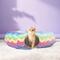Show in main carousel: Happy & Polly Rainbow Striped Orthopedic Bolster Cat Bed with Circle Tunnel slide 3 of 9