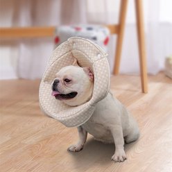 Barpor Protective Recovery Cone Dog Collar, Medium slide 1 of 8