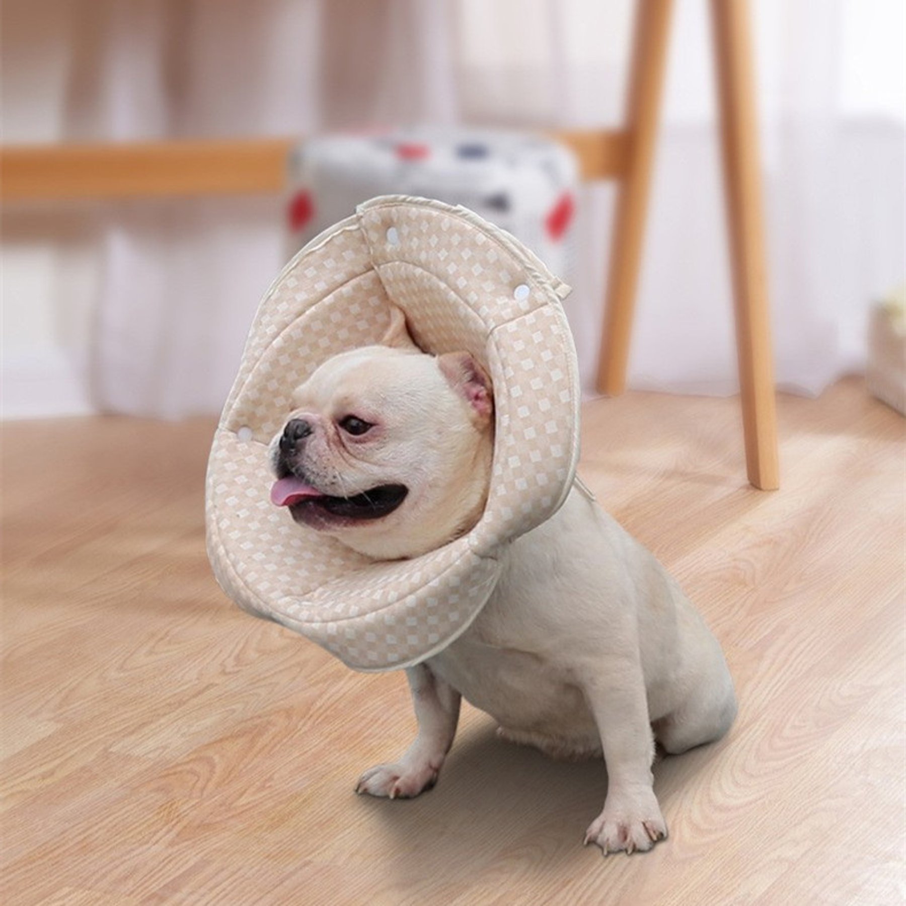 Barpor Protective Recovery Cone Dog Collar, Small