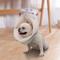 Show in main carousel: Barpor Protective Recovery Cone Dog Collar, Small slide 1 of 9