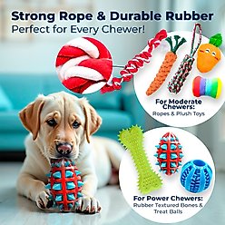 Pacific Pups Rescue Rope & Chew Dog Toy Variety Pack, 18 count slide 2 of 9