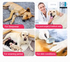 Barpor Dog Recovery Suit, Gray, Large slide 2 of 9