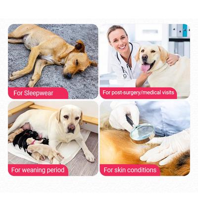 Show full view: Barpor Dog Recovery Suit, Gray, Medium slide 9 of 11