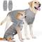 Show in main carousel: Barpor Dog Recovery Suit, Gray, Medium slide 1 of 11