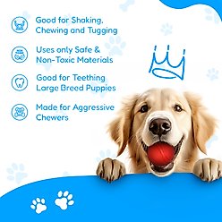 Pacific Pups Rescue 4-Piece Medium & Large Dog Rope & Ball Toy Set slide 2 of 9