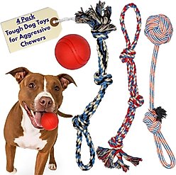 Pacific Pups Rescue 4-Piece Medium & Large Dog Rope & Ball Toy Set